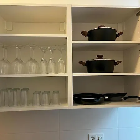 Apartament On The Rhine, *