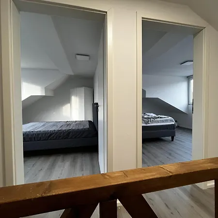 Apartament On The Rhine, *