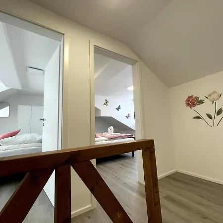 Apartament On The Rhine, *