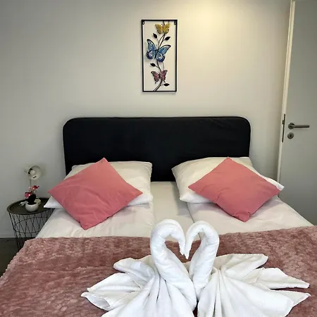 Apartament On The Rhine, *