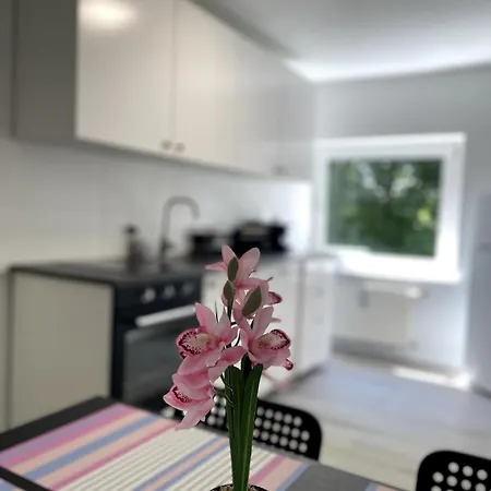 Apartament On The Rhine, Kolonia