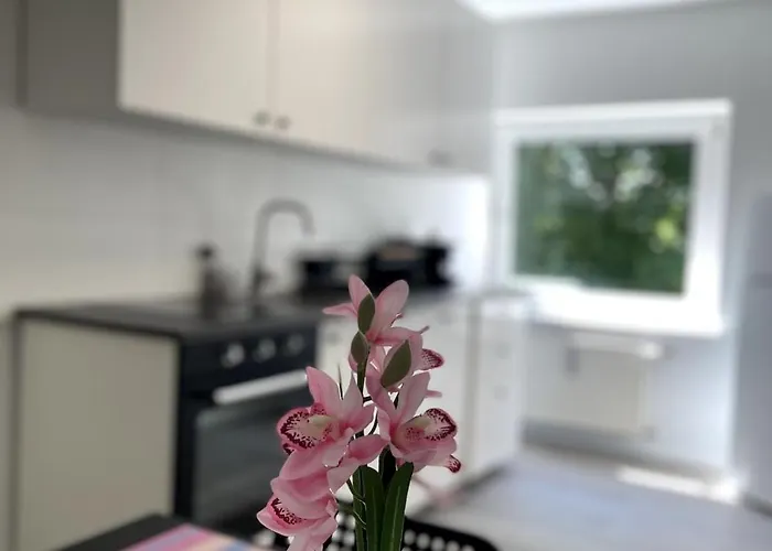 Apartamento On The Rhine, Colonia